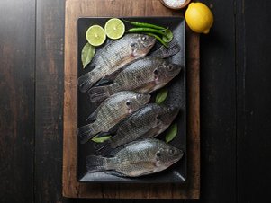 Black Snapper / Karipetti